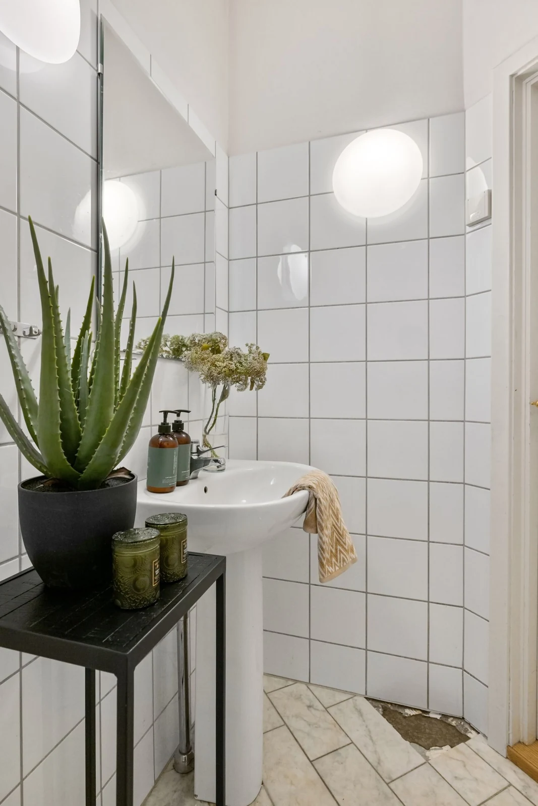 Contemporary bathroom featuring a minimalist sink and aloe plant for modern style